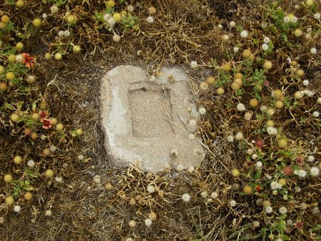 headstone photo